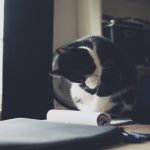 推荐几款好用的看动漫软件,畅享精彩动漫世界 4y5dtf3