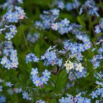 推荐的日本漫画:不可错过的经典与新作推荐指南 fgie39i29