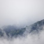 揭开“Lemon”歌曲背后的真实故事与创作灵感 gzoz6pffpe