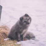 推荐几款实用的磁力链接下载工具,助你轻松获取资源 is45nkp