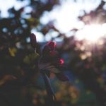 最新国产动漫大全:2023年最受欢迎的国产动画推荐与评析 mtlvrlu0h2