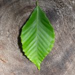 推荐几款热门成品电影下载网站及其软件 xqyf2